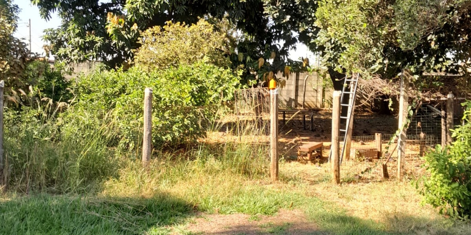 Chácara a venda bairro Campestre